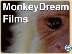 Monkey Dream Film Brochure Click Here to view